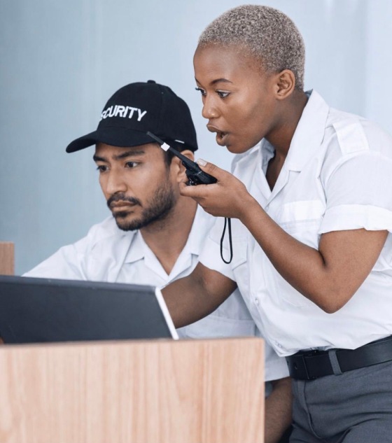 Two coworkers collaborating on a project at a laptop.